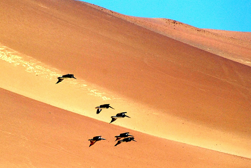 Laura i Astronom_super-183.JPG - Pierwsza zapowiedź rogu obfitości, który miał się nam objawić. (Zdjęcie: Laura i Astronom)